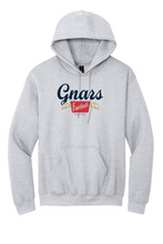 Load image into Gallery viewer, Gnars Legendary Team Hoodie (2 colors)
